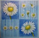 120 Daisies  - 3 ply